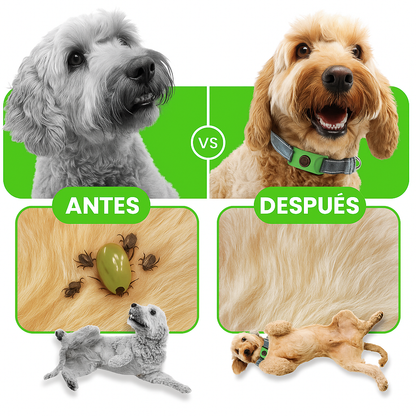 BaProtect™ - 12 meses de protección natural para perros