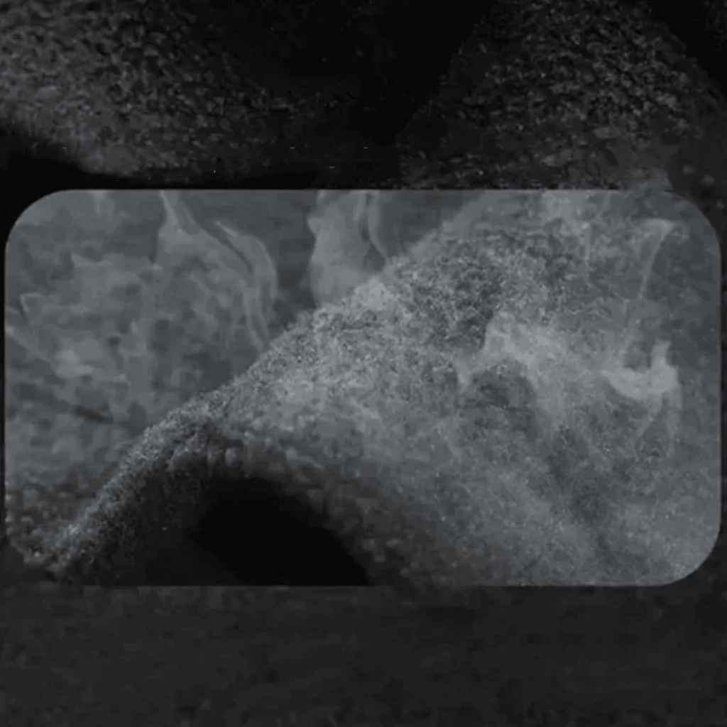 Balirah | Chaqueta Aislante de Doble Capa