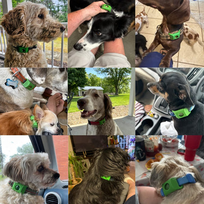 BaProtect™ - 12 meses de protección natural para perros